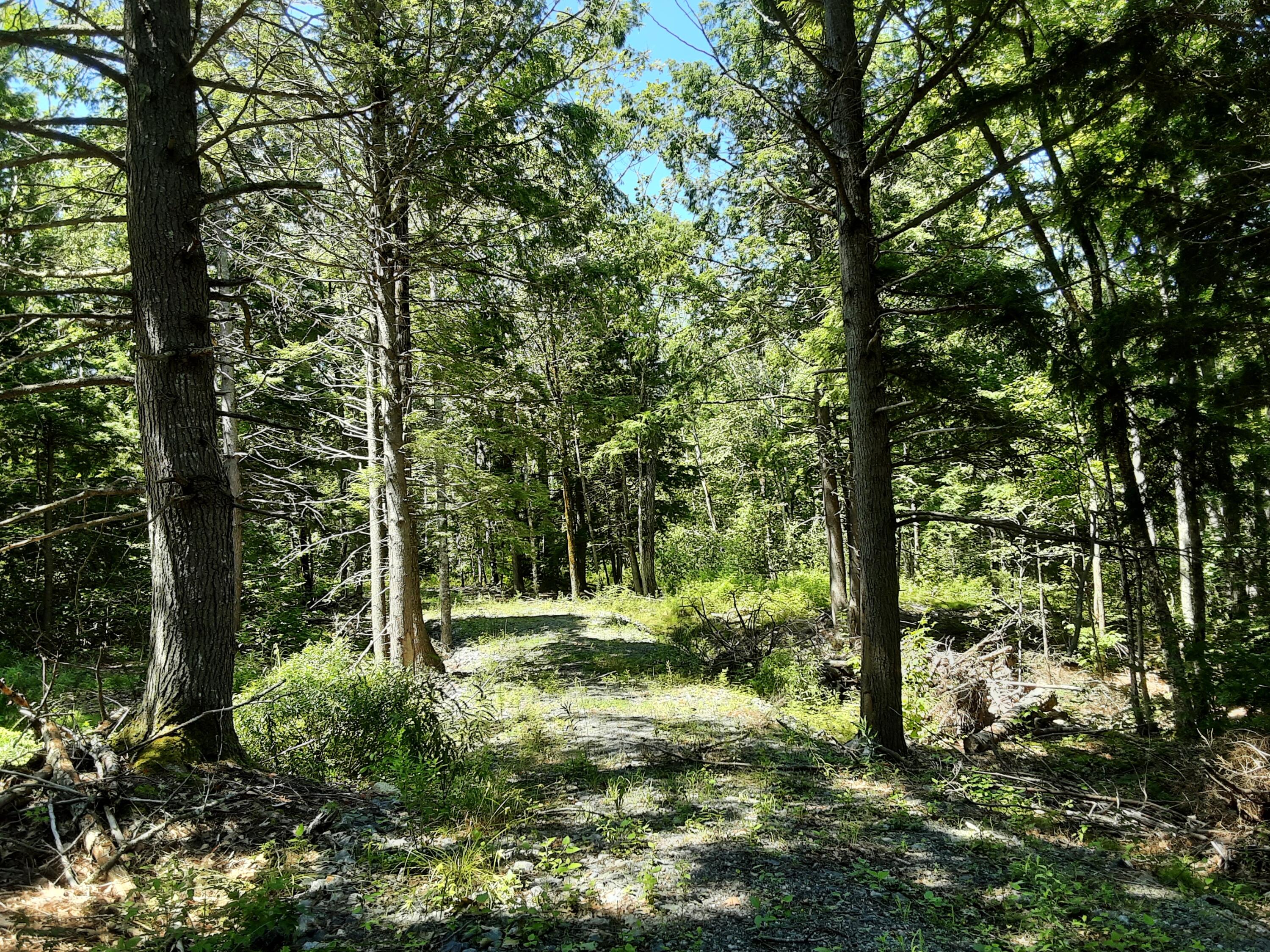 0 Powderhorn Road Jefferson, ME 04348 - Photo 2 of 3 20240726_121014