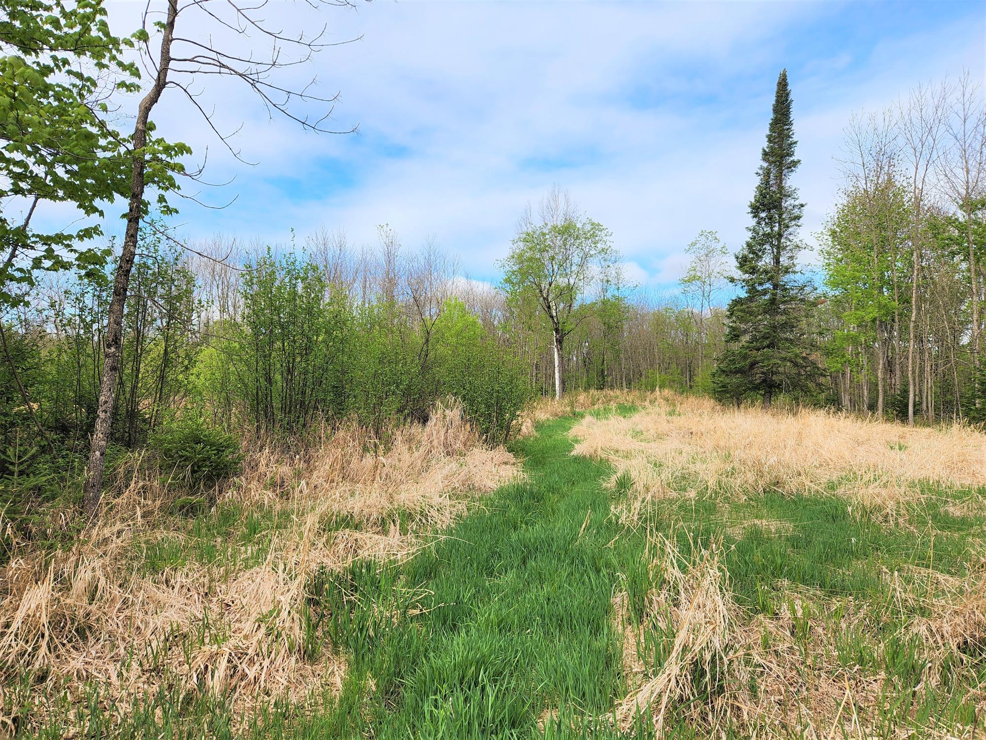 N8218 East Wilson Flowage Road Phillips, WI 54555 - Photo 10 of 18 Gallery Image 10