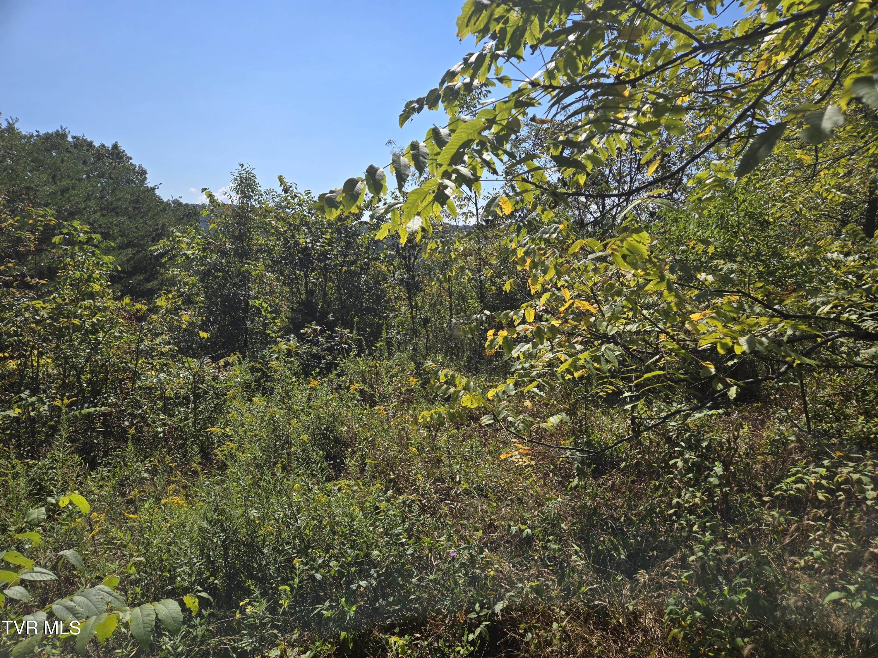 Tbd Poplar Springs Road Greeneville, TN 37743 - Photo 14 of 15 1000018342