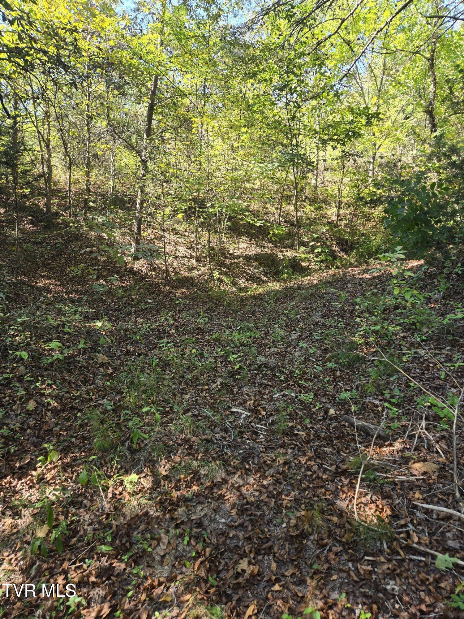 Tbd Poplar Springs Road Greeneville, TN 37743 - Photo 15 of 15 1000018348