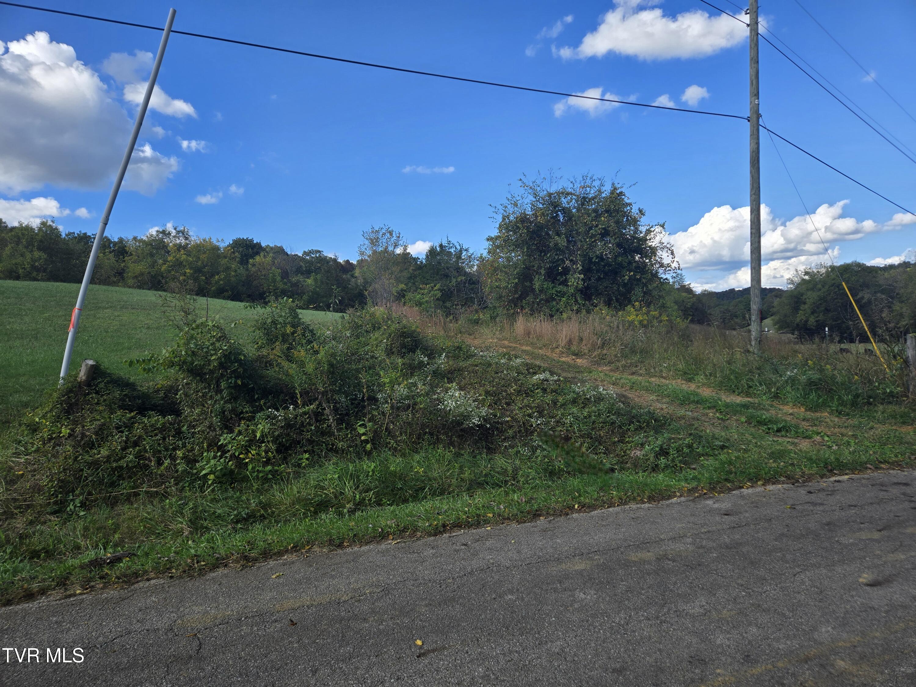 Tbd Poplar Springs Road Greeneville, TN 37743 - Photo 2 of 15 1000018761