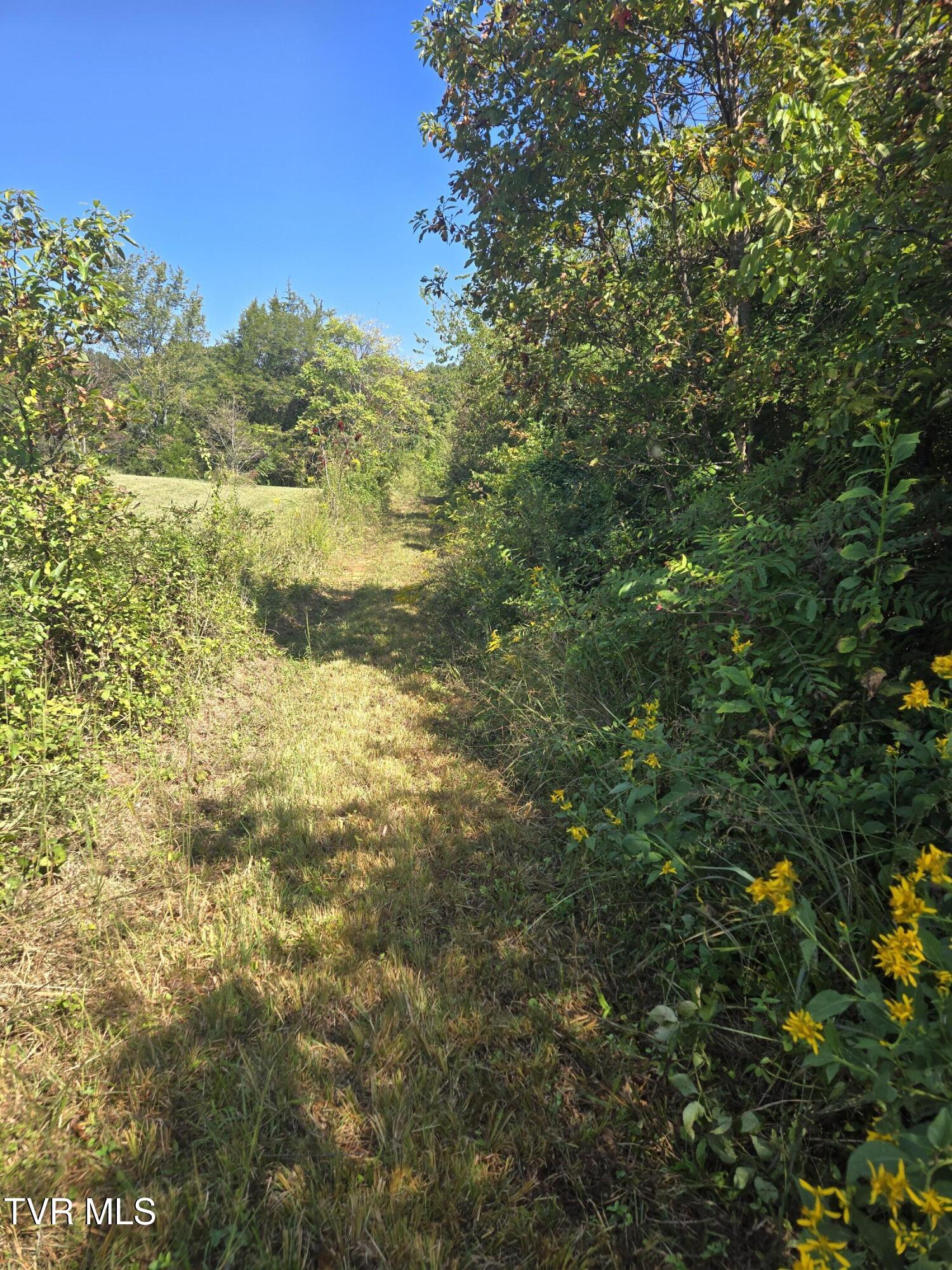 Tbd Poplar Springs Road Greeneville, TN 37743 - Photo 3 of 15 1000018324