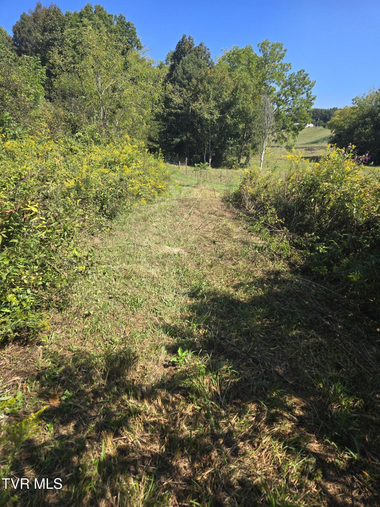 Tbd Poplar Springs Road Greeneville, TN 37743 - Photo 4 of 15 1000018325