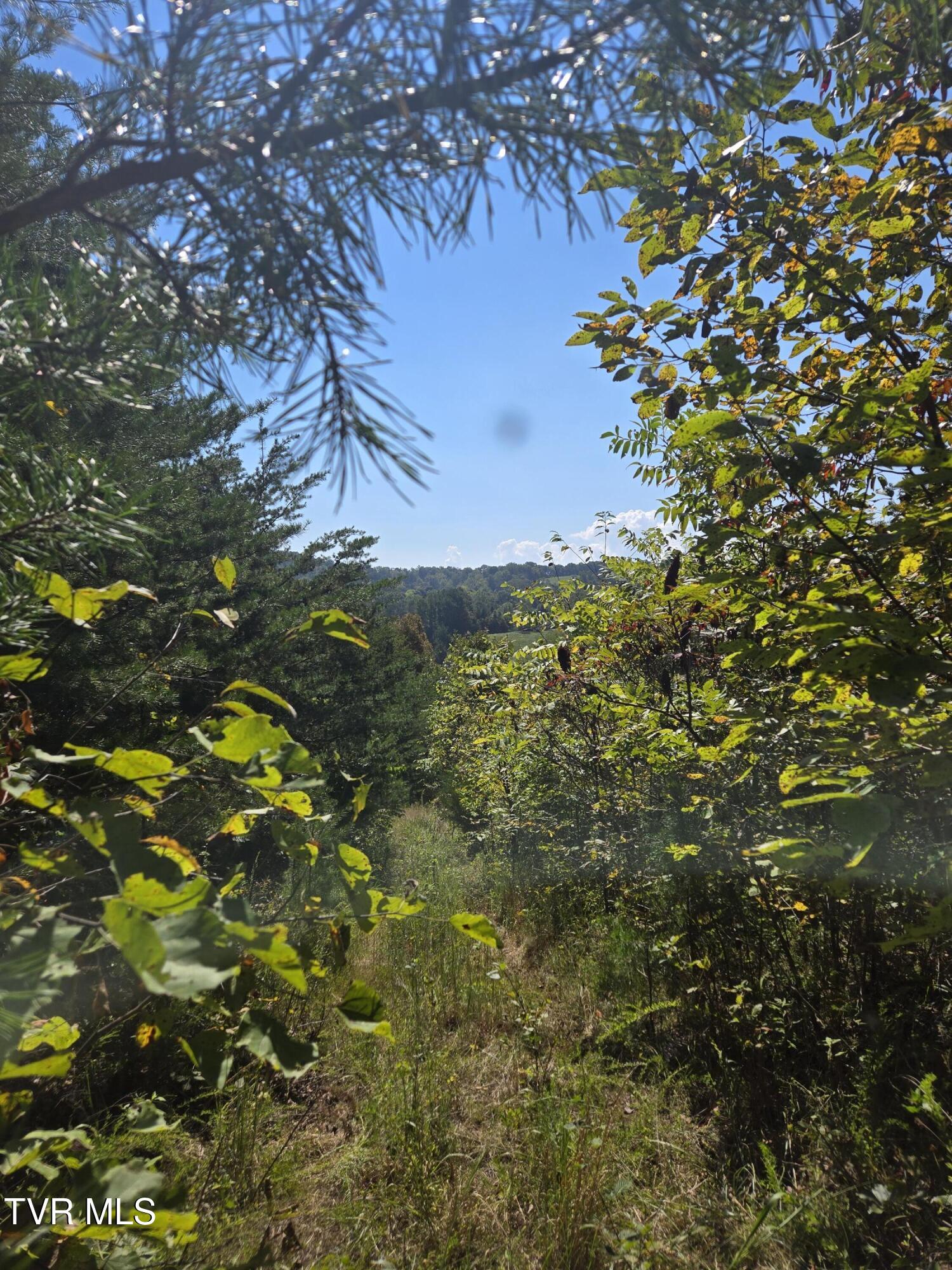 Tbd Poplar Springs Road Greeneville, TN 37743 - Photo 9 of 15 1000018334