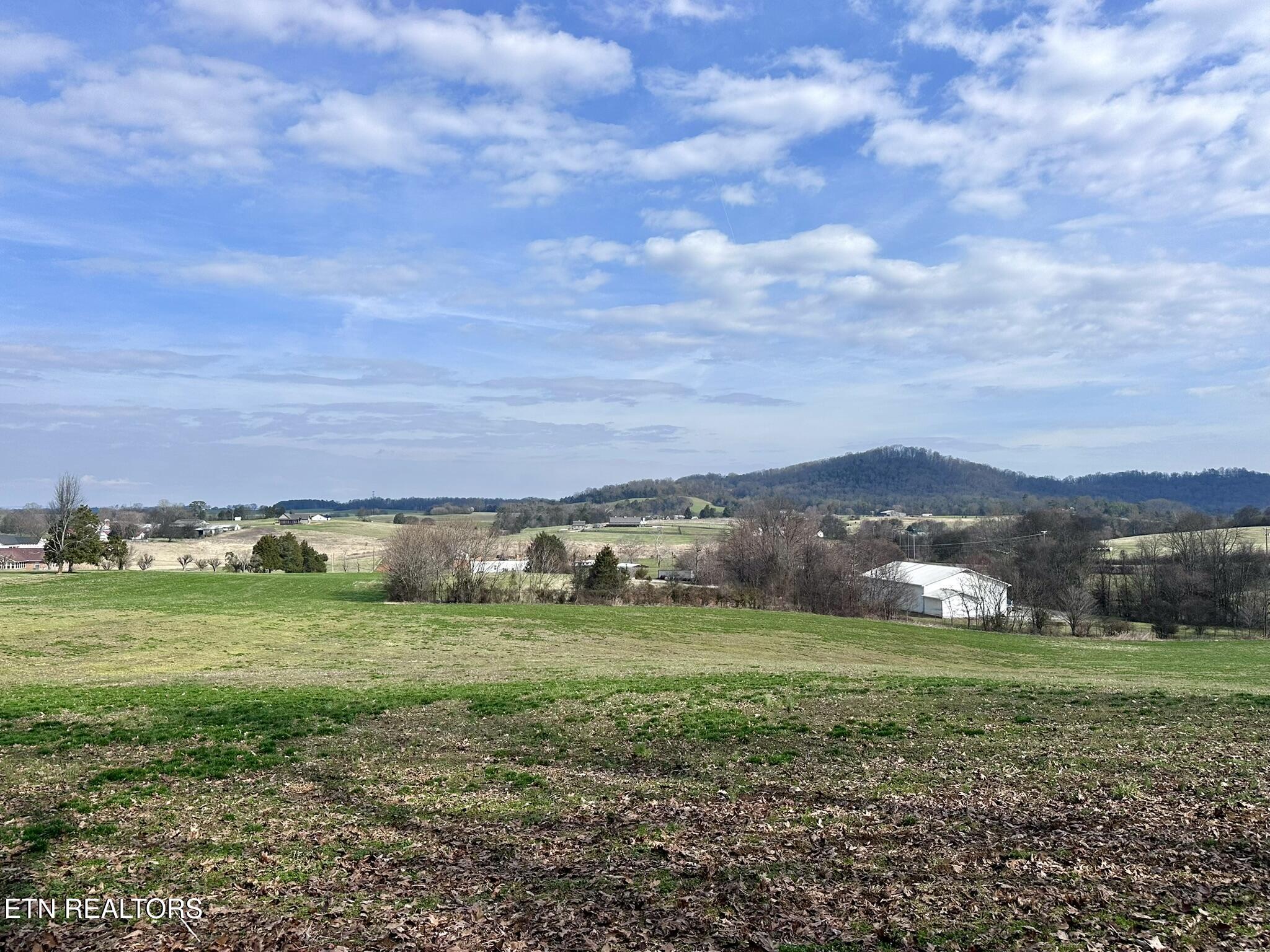 Mine Road New Market, TN 37820 - Photo 11 of 28 IMG_1974