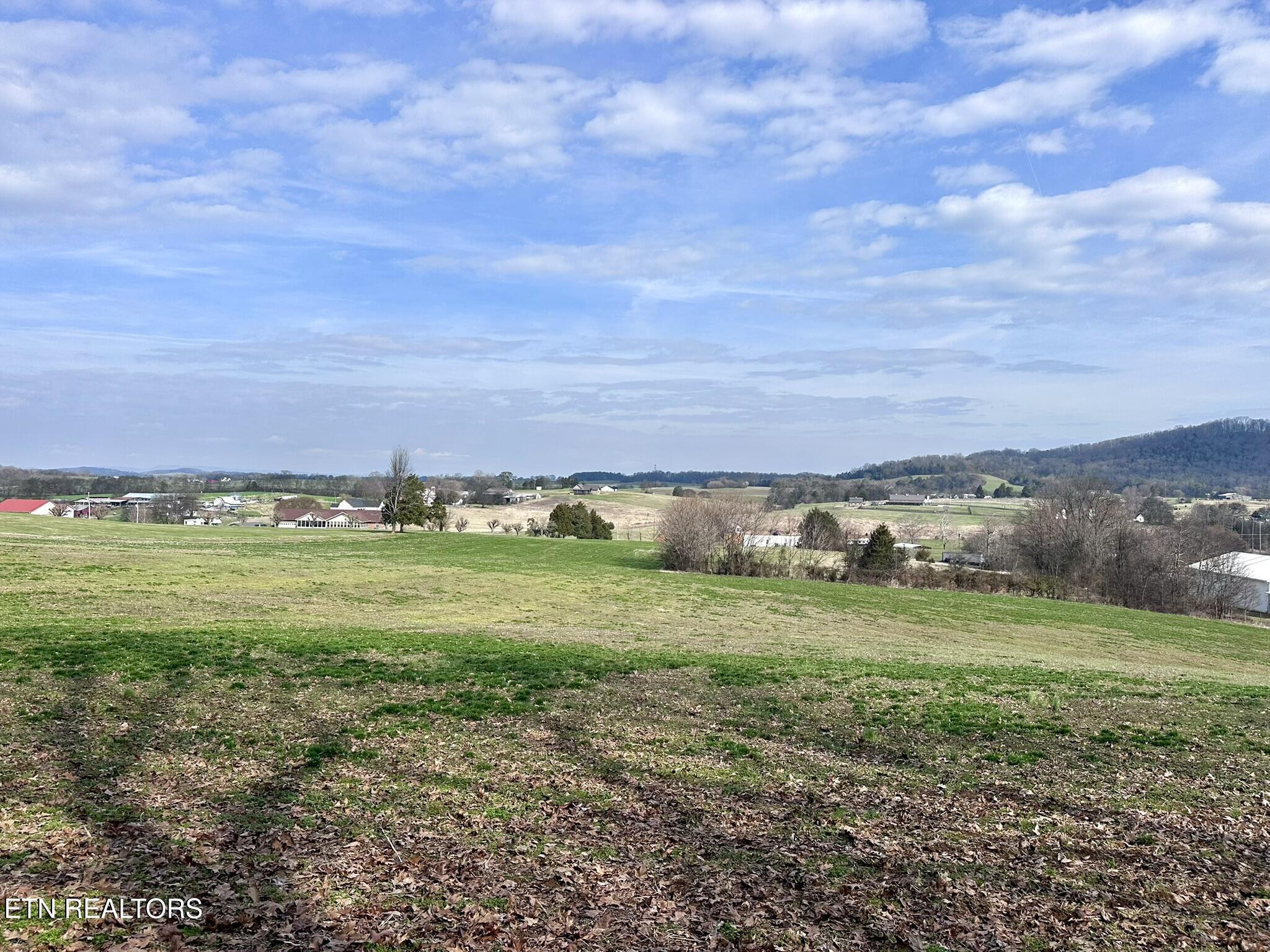 Mine Road New Market, TN 37820 - Photo 12 of 28 IMG_1975