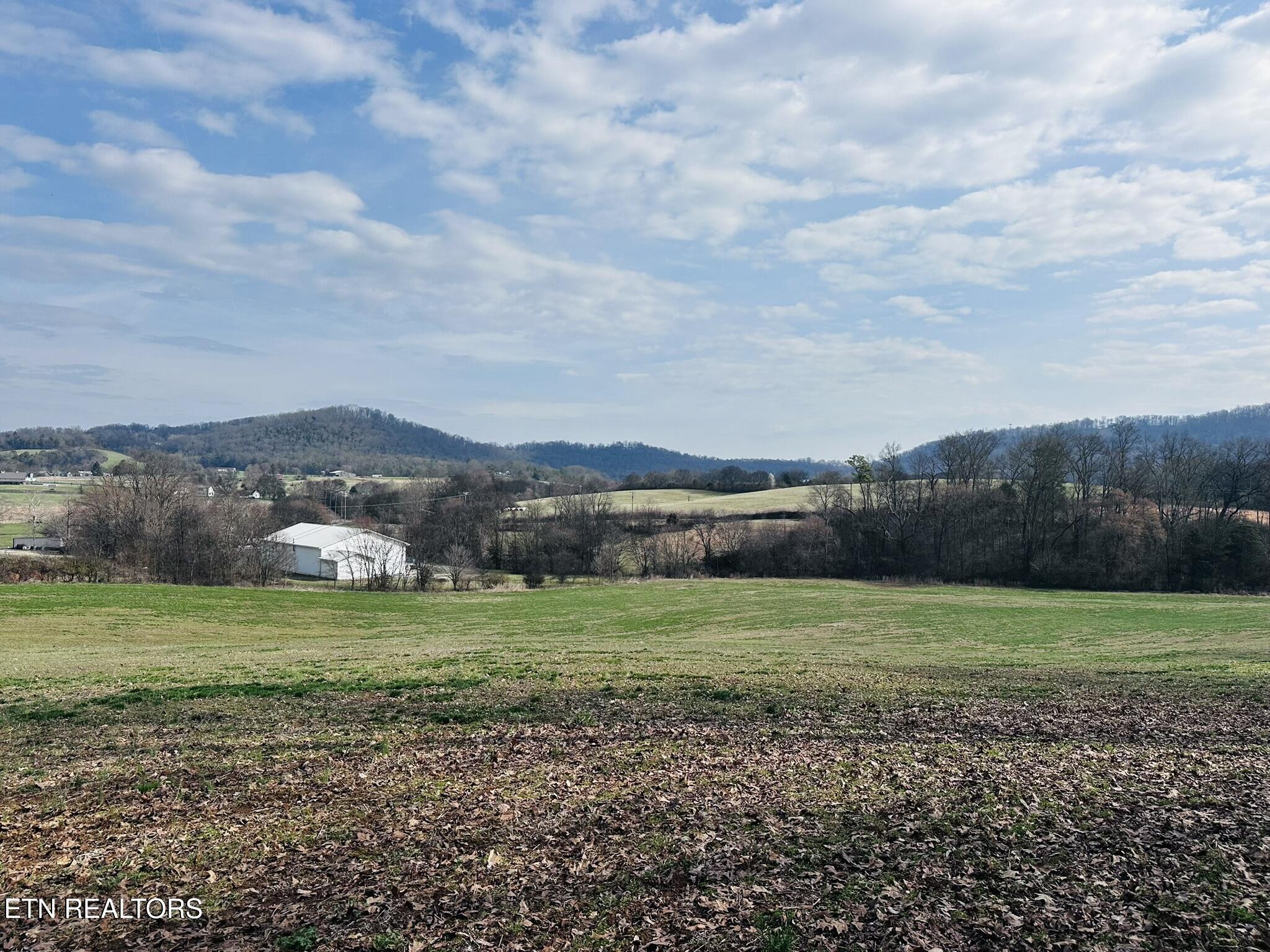 Mine Road New Market, TN 37820 - Photo 14 of 28 IMG_1977