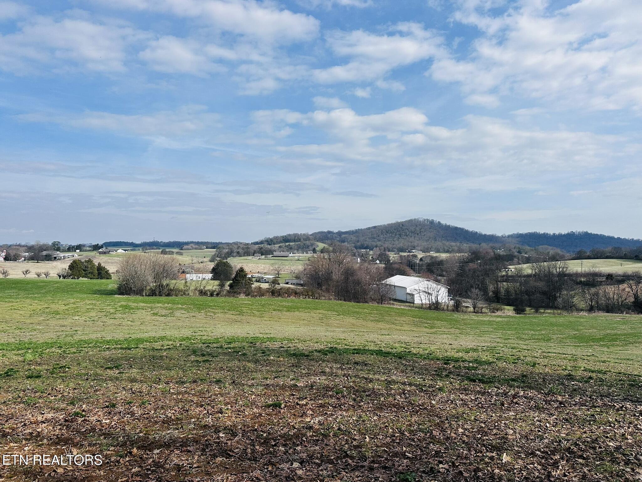 Mine Road New Market, TN 37820 - Photo 15 of 28 IMG_1979