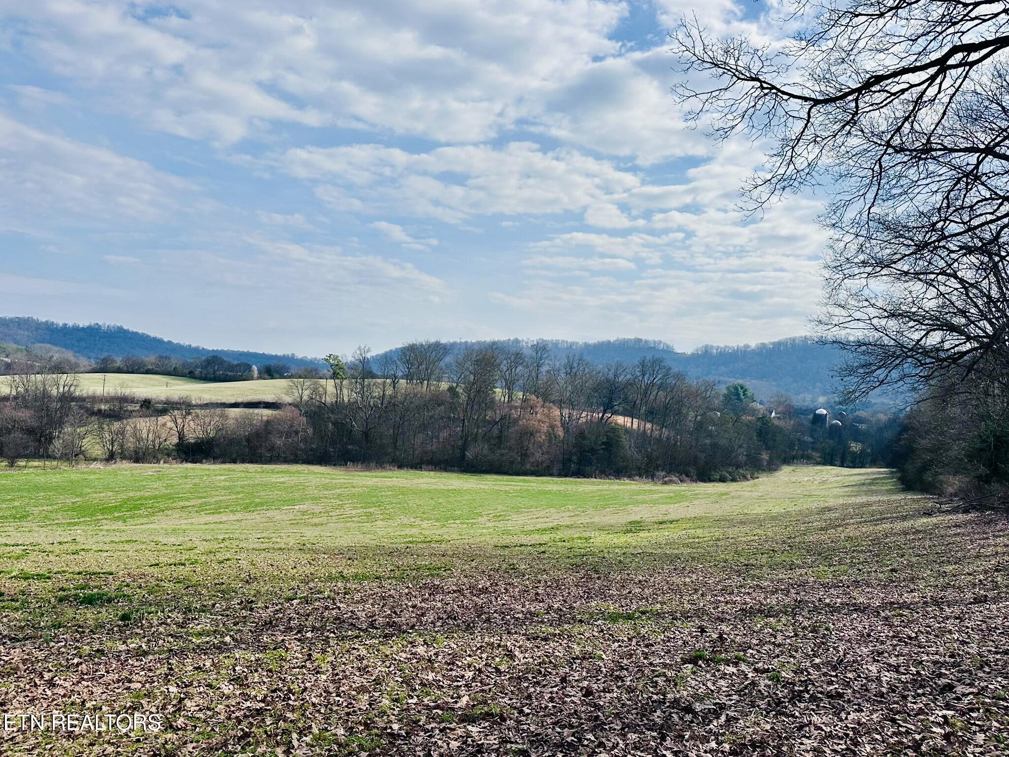 Mine Road New Market, TN 37820 - Photo 17 of 28 IMG_1981