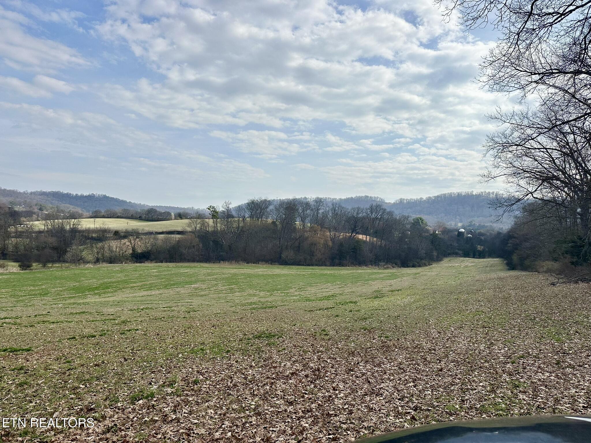 Mine Road New Market, TN 37820 - Photo 25 of 28 IMG_1991