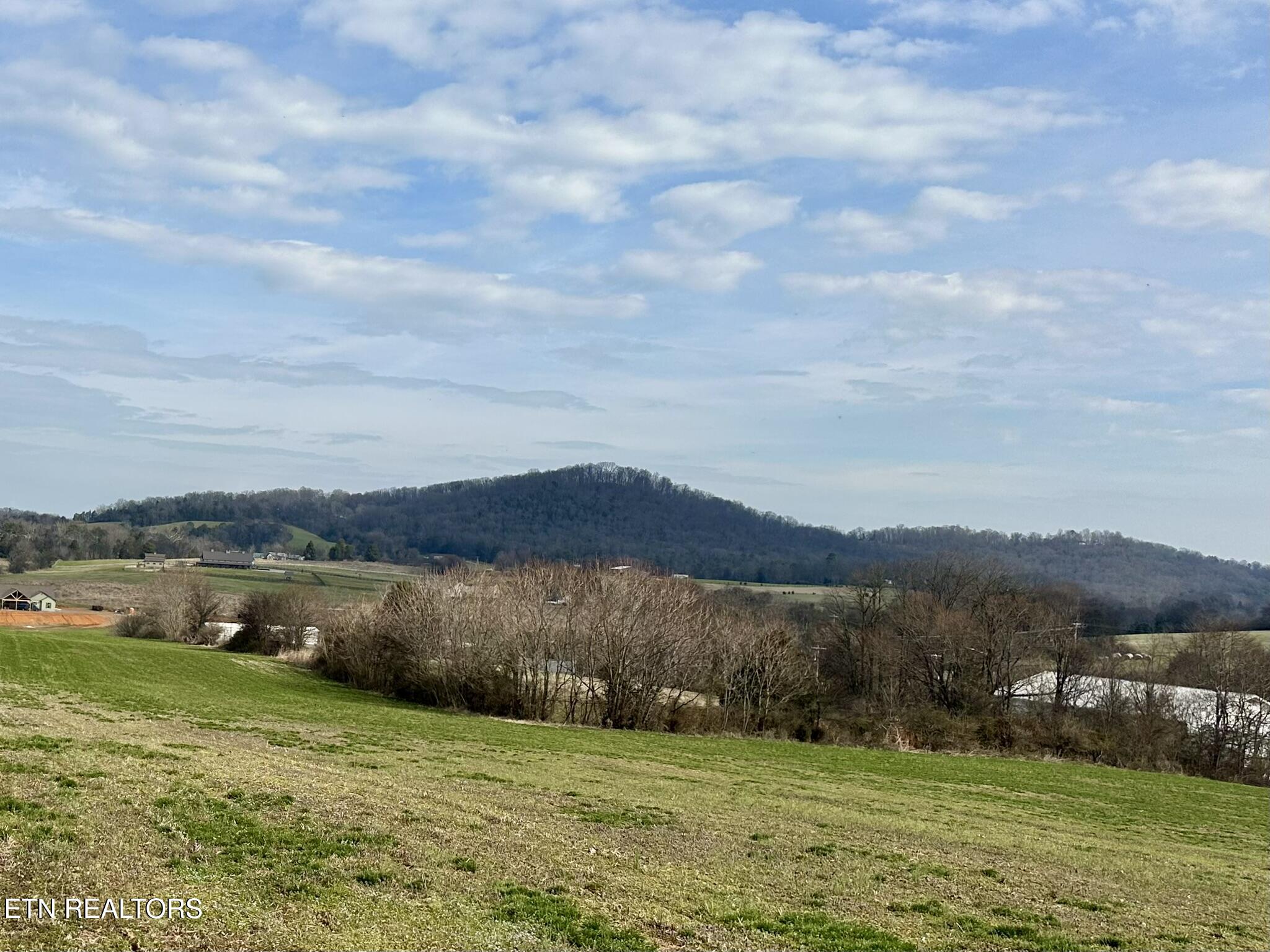 Mine Road New Market, TN 37820 - Photo 26 of 28 IMG_1992