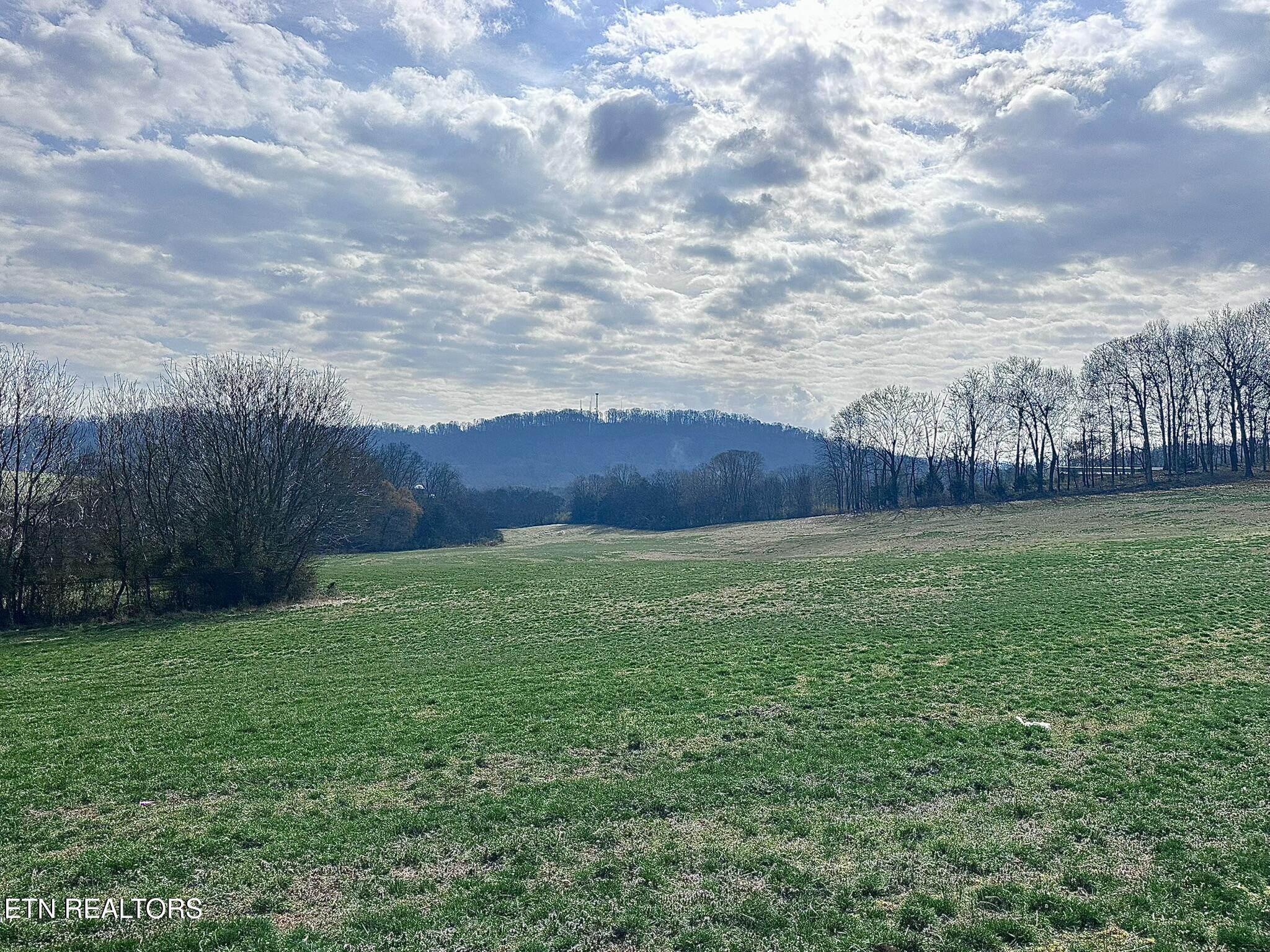 Mine Road New Market, TN 37820 - Photo 3 of 28 IMG_1965