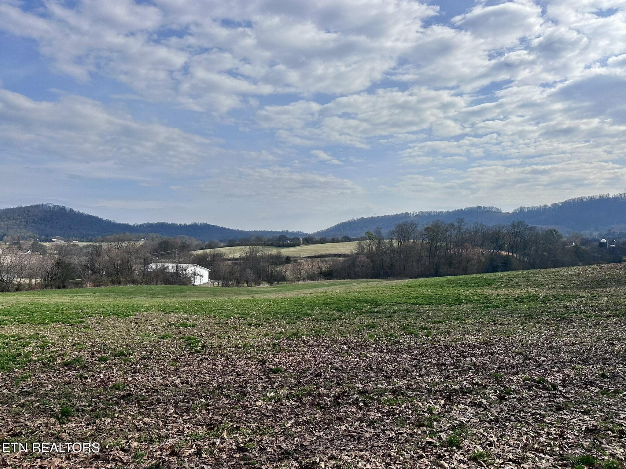 Mine Road New Market, TN 37820 - Photo 4 of 28 IMG_1967