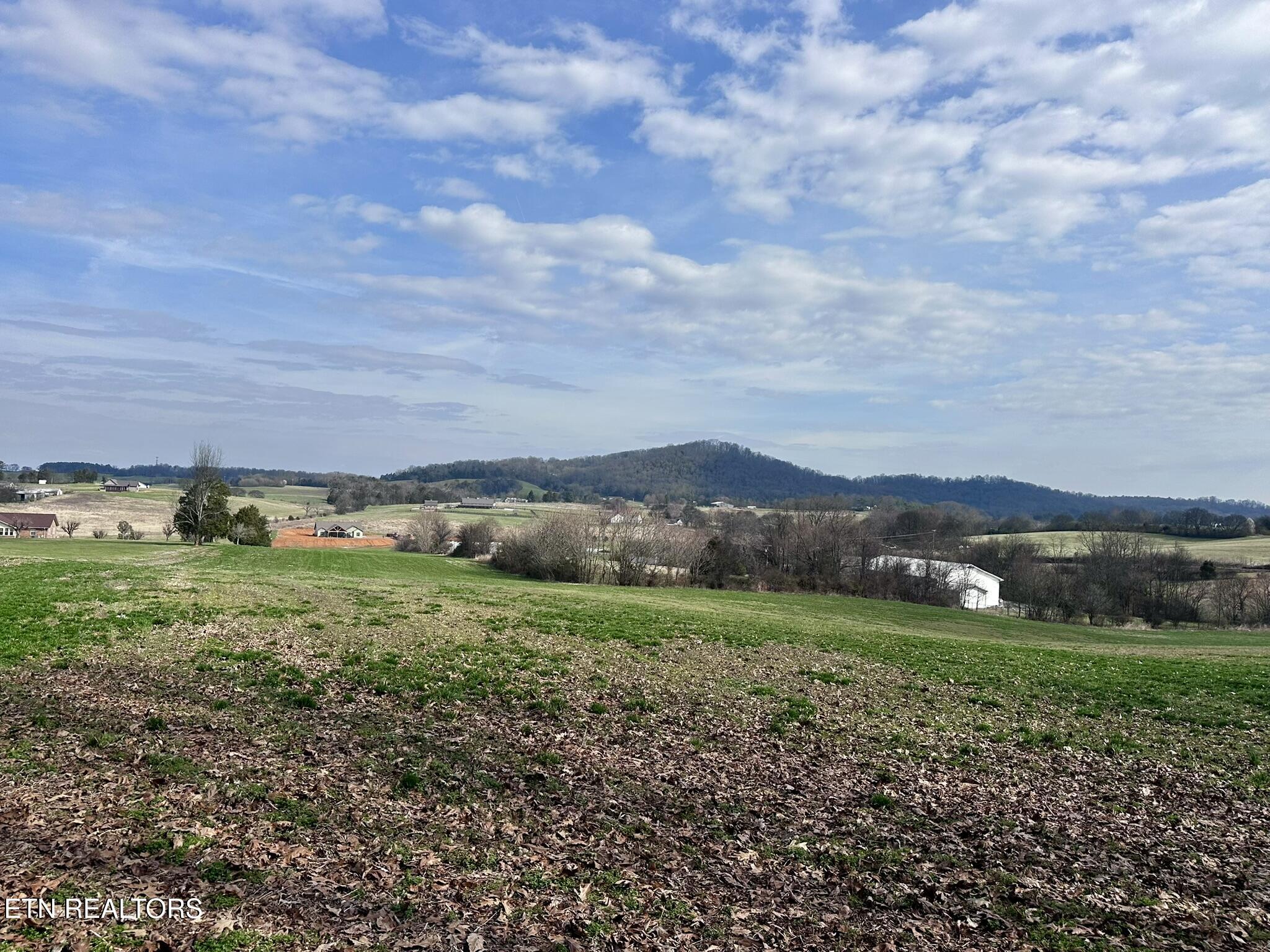 Mine Road New Market, TN 37820 - Photo 6 of 28 IMG_1969