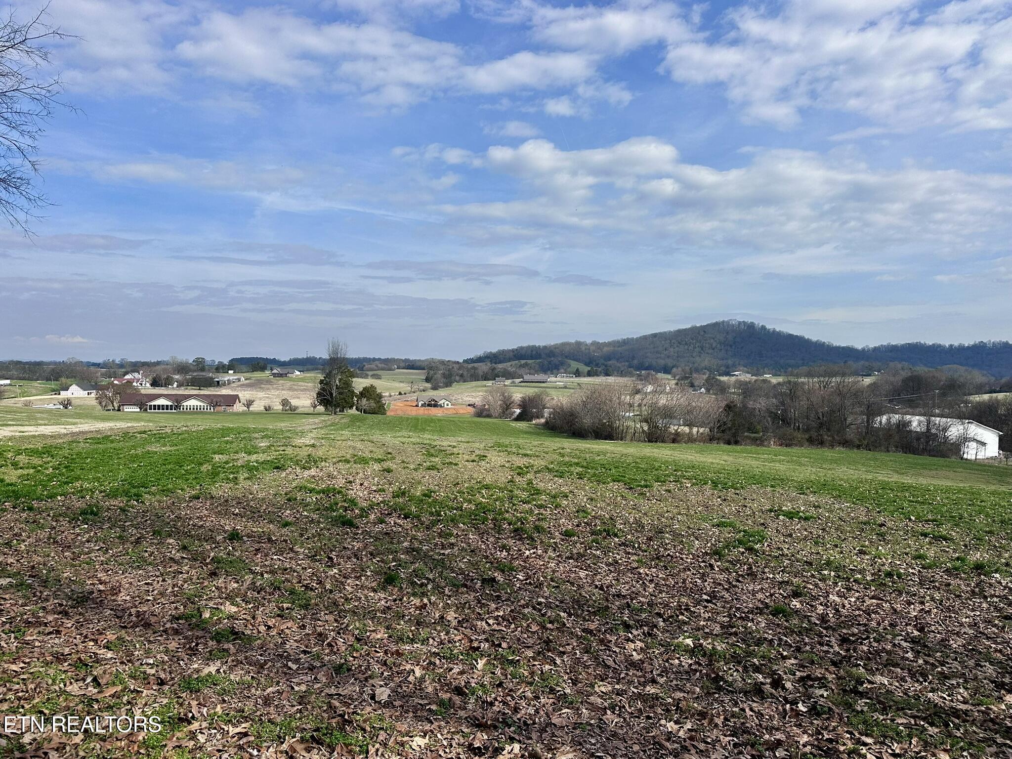 Mine Road New Market, TN 37820 - Photo 7 of 28 IMG_1970