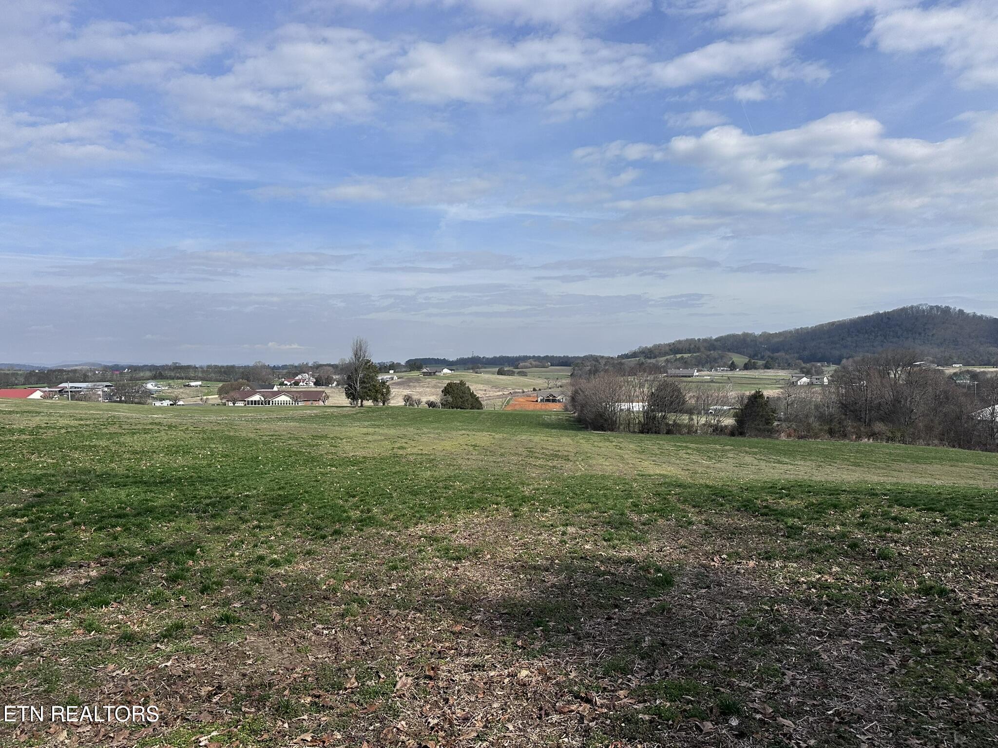 Mine Road New Market, TN 37820 - Photo 9 of 28 IMG_1972