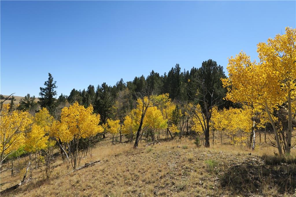 157 Crow Court Como, CO 80432 - Photo 11 of 35 a view of a yard with a house