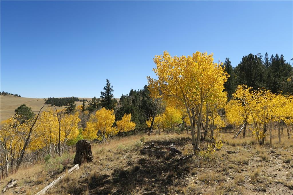 157 Crow Court Como, CO 80432 - Photo 12 of 35