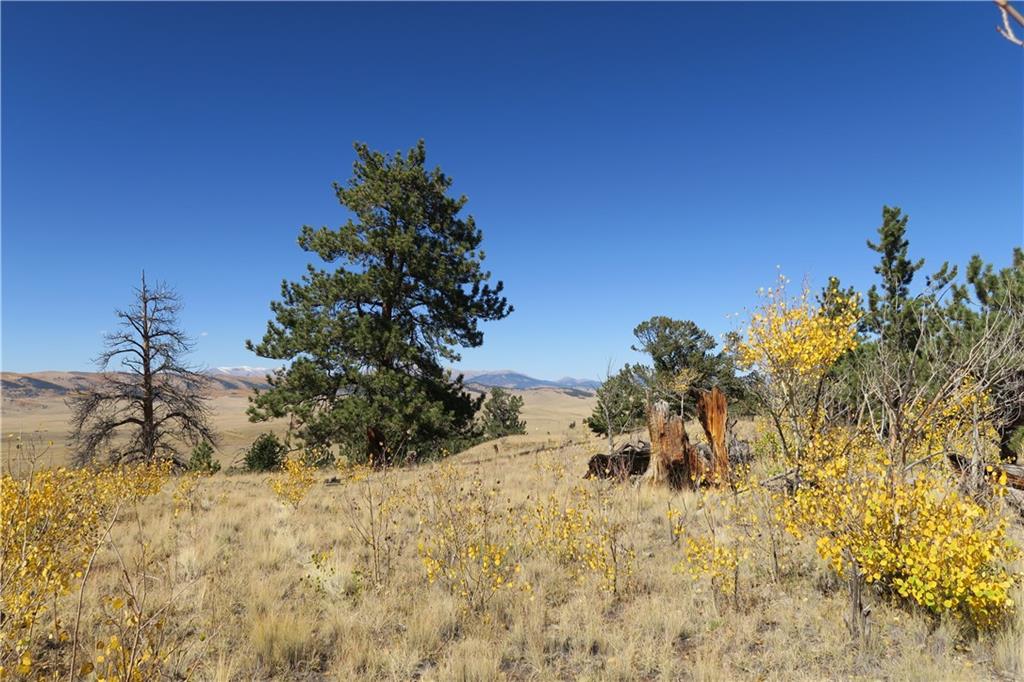 157 Crow Court Como, CO 80432 - Photo 14 of 35 a view of a yard with a tree