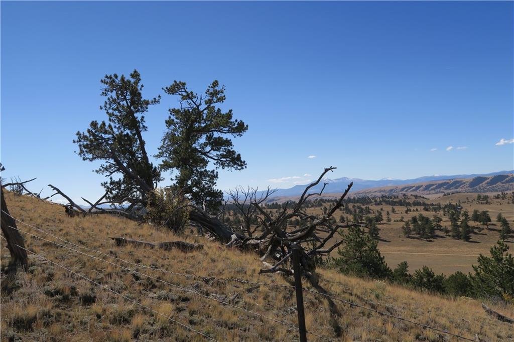 157 Crow Court Como, CO 80432 - Photo 18 of 35 a view of a lake with a mountain