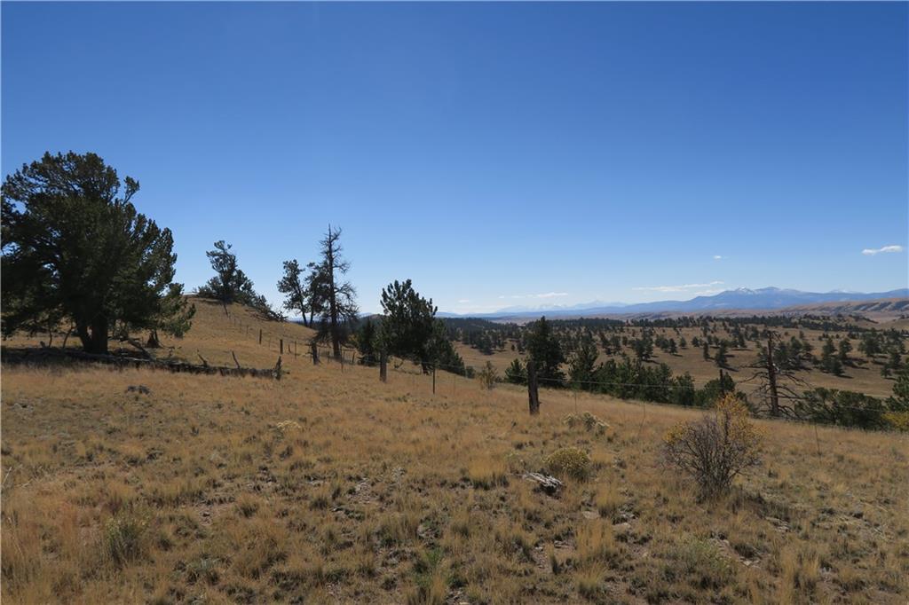 157 Crow Court Como, CO 80432 - Photo 20 of 35 a view of a dry yard with trees