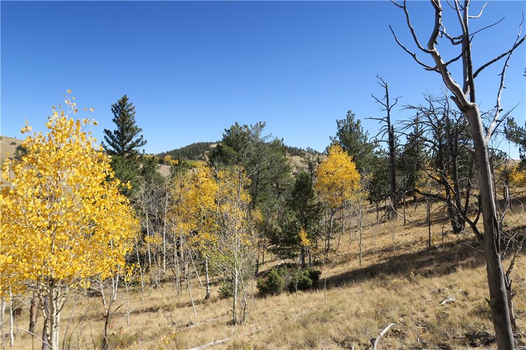 157 Crow Court Como, CO 80432 - Photo 23 of 35 a view of a yard with wooden fence