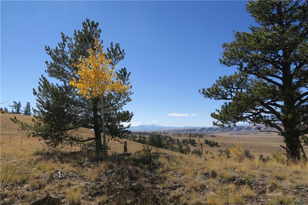 157 Crow Court Como, CO 80432 - Photo 24 of 35 a view of a yard with a tree