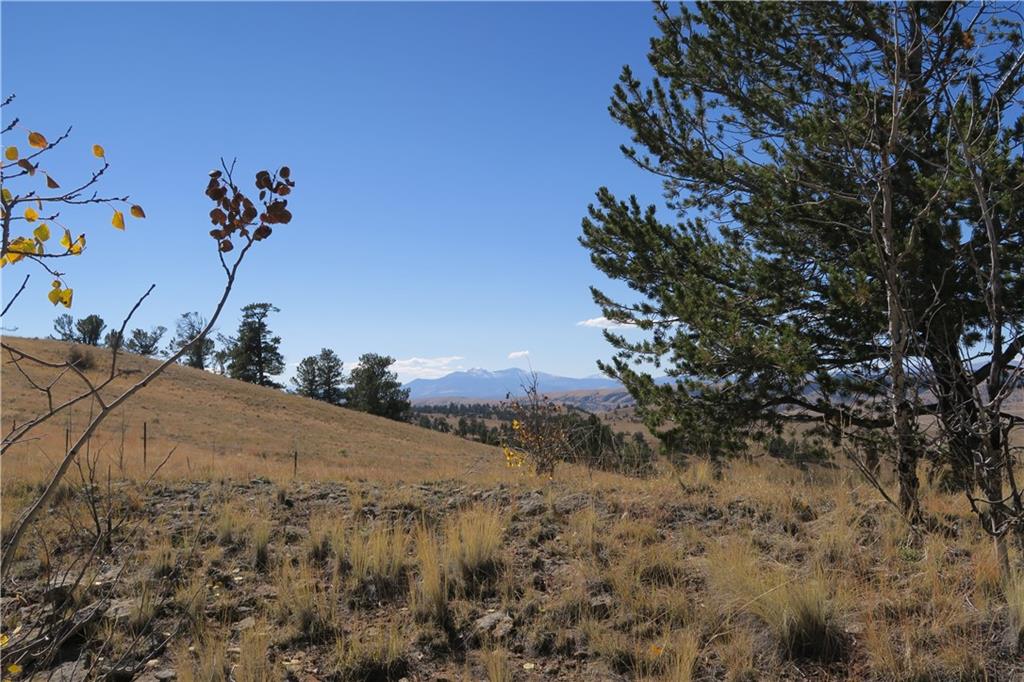 157 Crow Court Como, CO 80432 - Photo 25 of 35 a view of a dry yard with trees