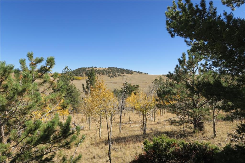 157 Crow Court Como, CO 80432 - Photo 26 of 35 a view of a bunch of trees