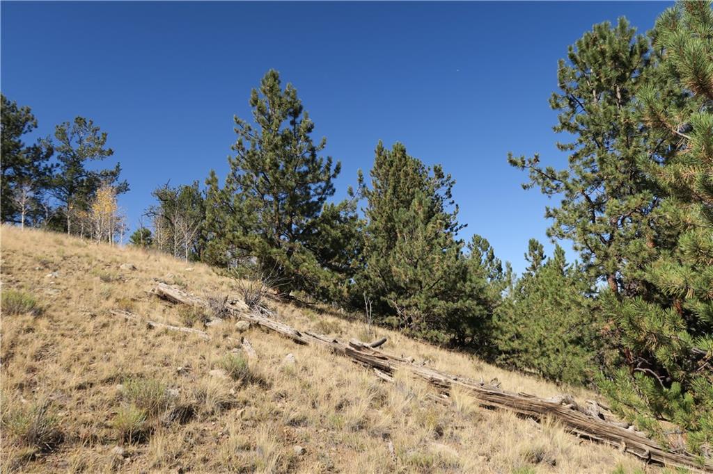 157 Crow Court Como, CO 80432 - Photo 27 of 35 a view of a yard