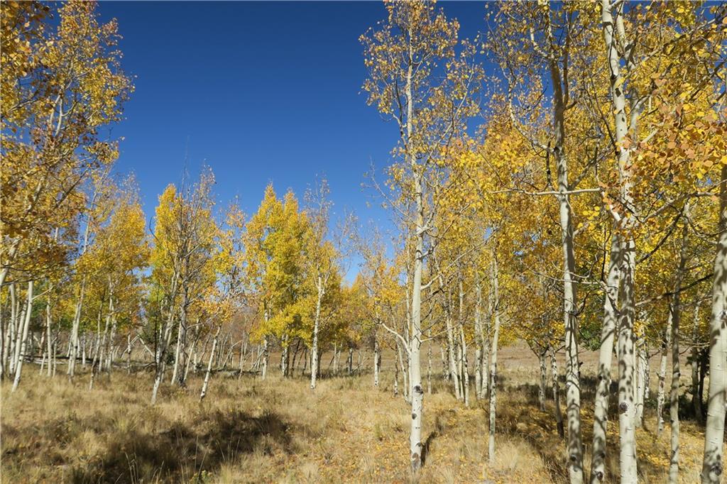 157 Crow Court Como, CO 80432 - Photo 29 of 35