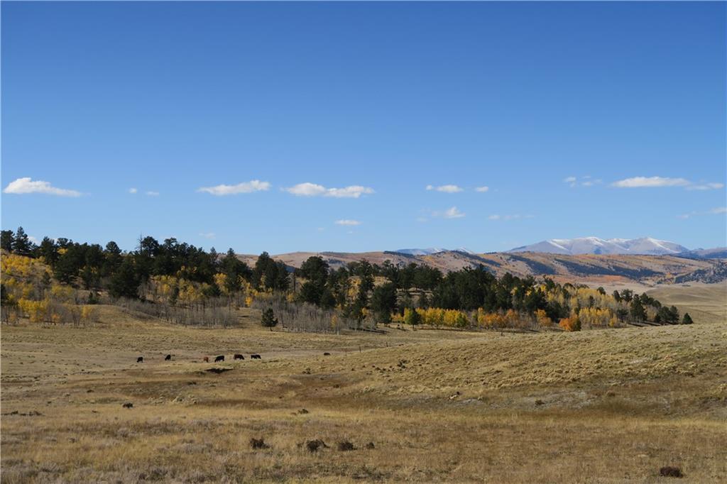 157 Crow Court Como, CO 80432 - Photo 34 of 35 a view of mountain view with lake view
