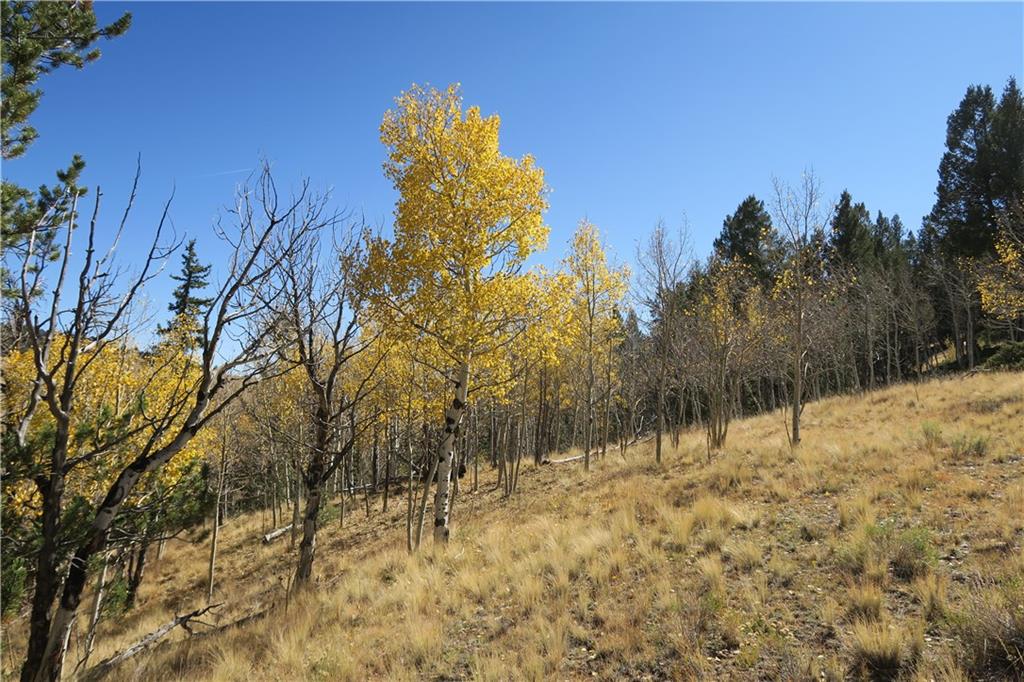 157 Crow Court Como, CO 80432 - Photo 8 of 35 a view of large yard