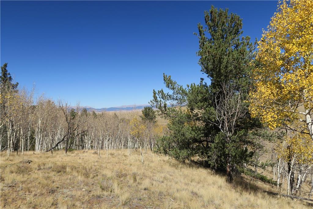 157 Crow Court Como, CO 80432 - Photo 9 of 35 a view of mountain view with trees
