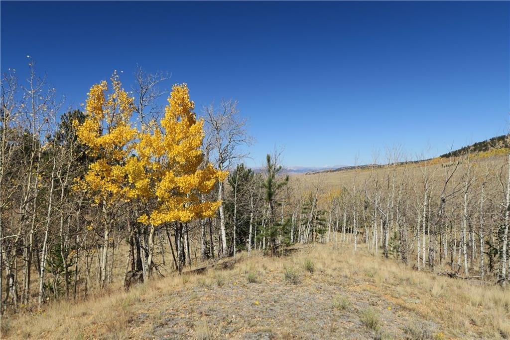 157 Crow Court Como, CO 80432 - Photo 10 of 35