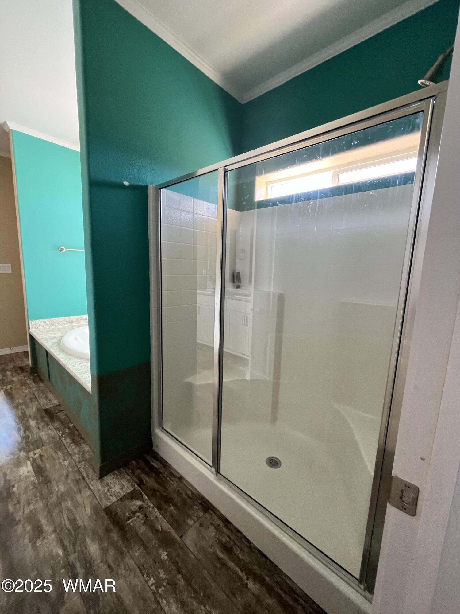 232 Savage Street Snowflake, AZ 85937 - Photo 23 of 40 Shower