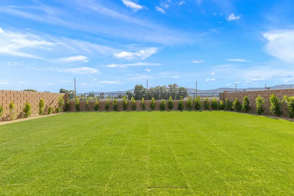 a view of an ocean from a yard