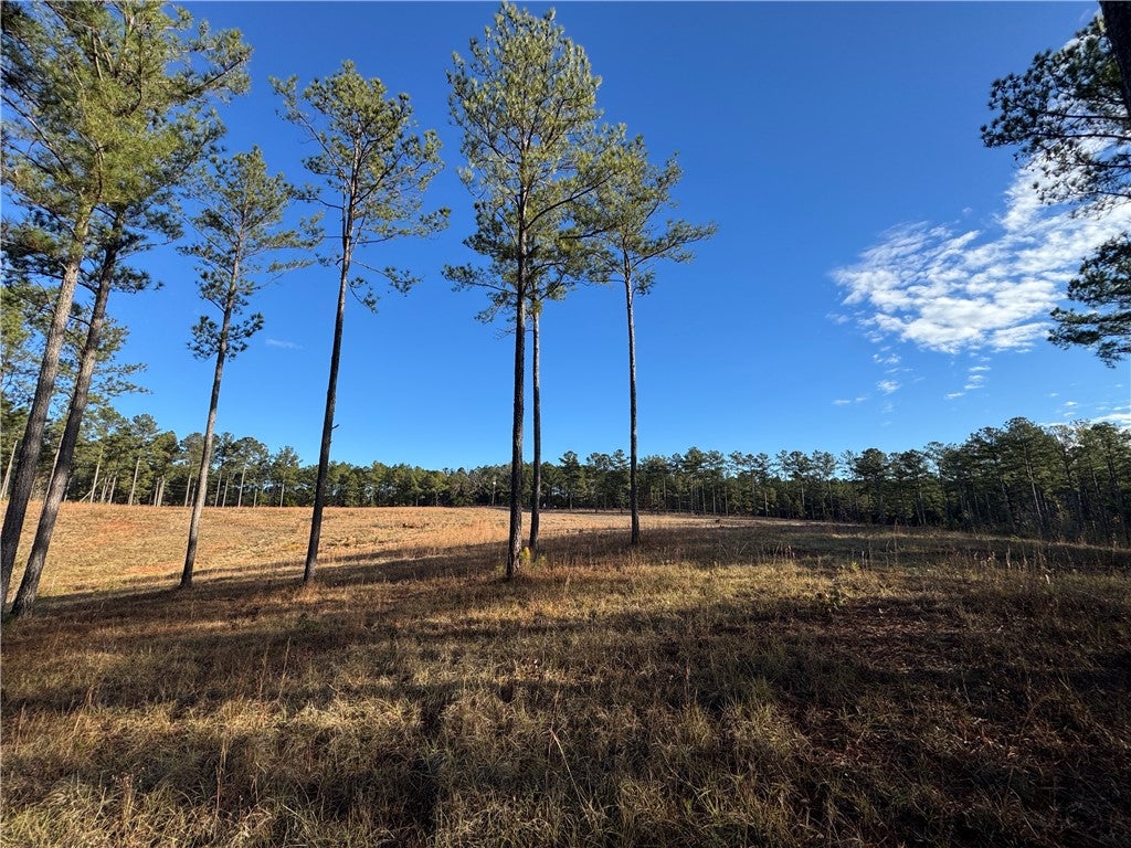 0 Farmville Road Camp Hill, AL 36850 - Photo 17 of 35 Gallery Image 17