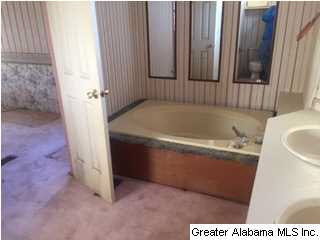 176 Matts Way Hazel Green, AL 35750 - Photo 4 of 12