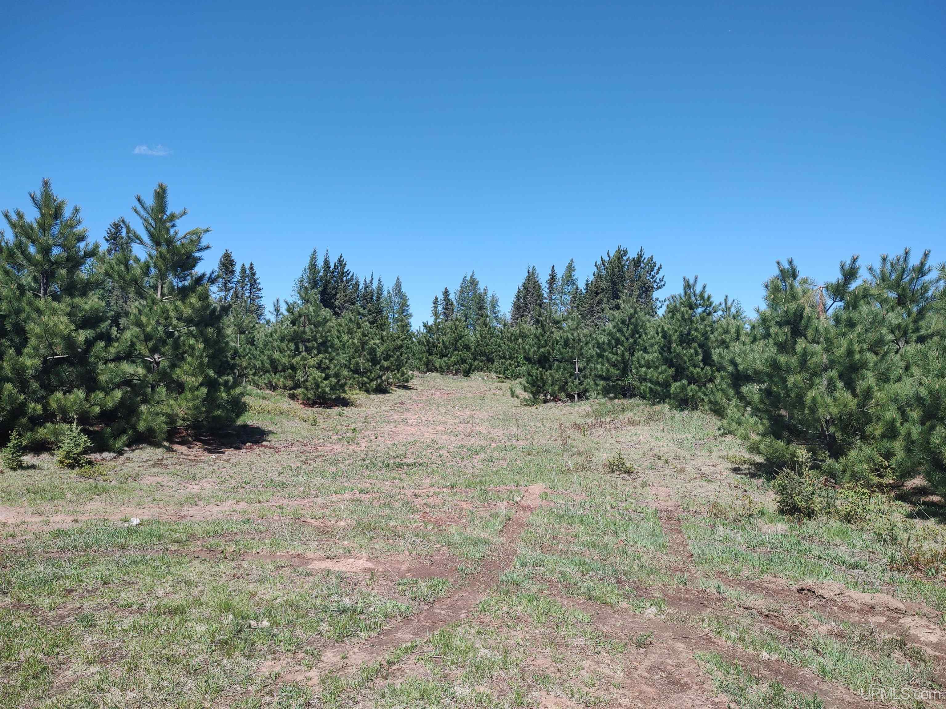 58-acres Co Rd Fn Road Champion, MI 49814 - Photo 22 of 27