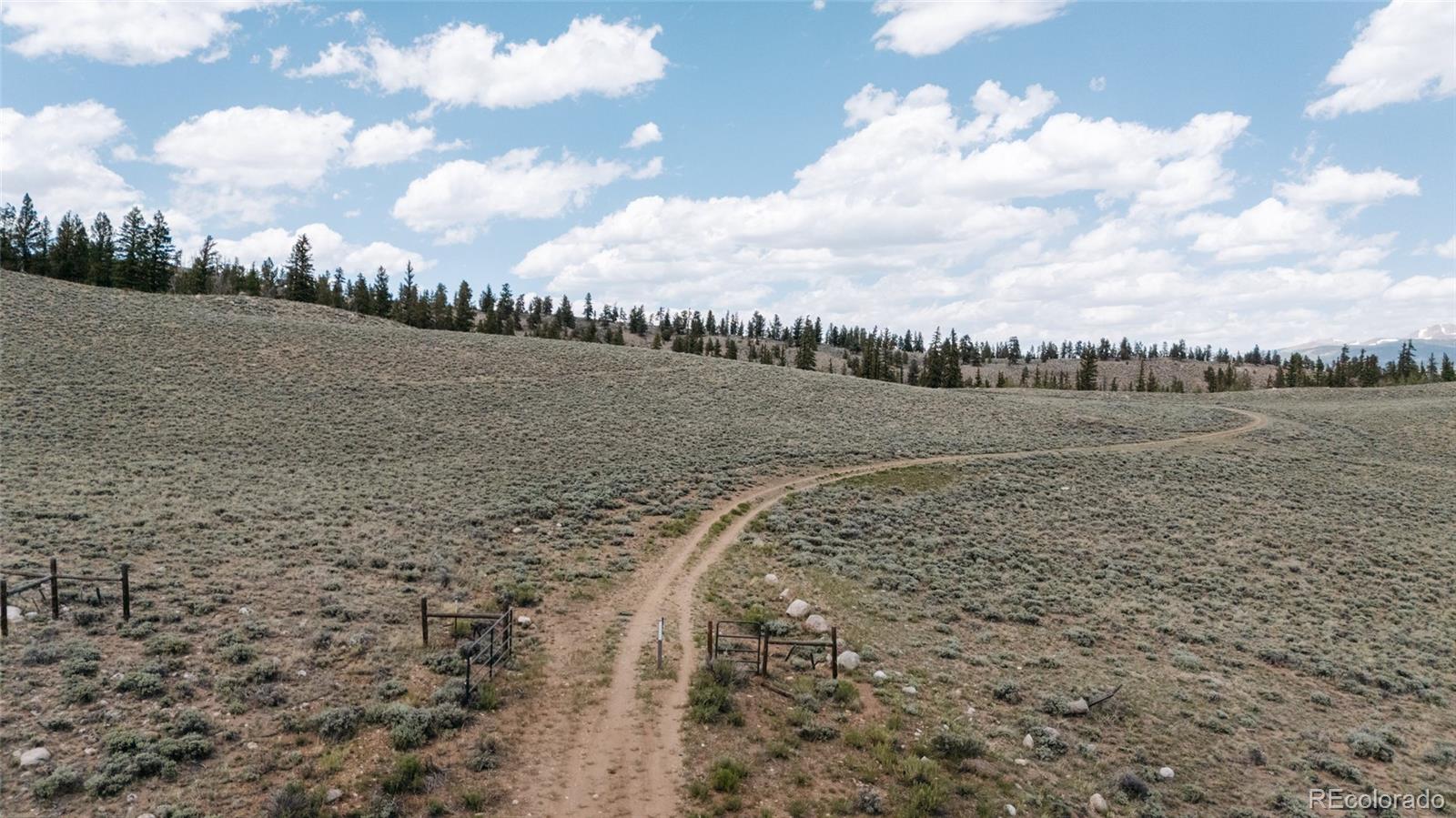 300 Norene Road Twin Lakes, CO 81251 - Photo 14 of 17 a view of a field with an ocean