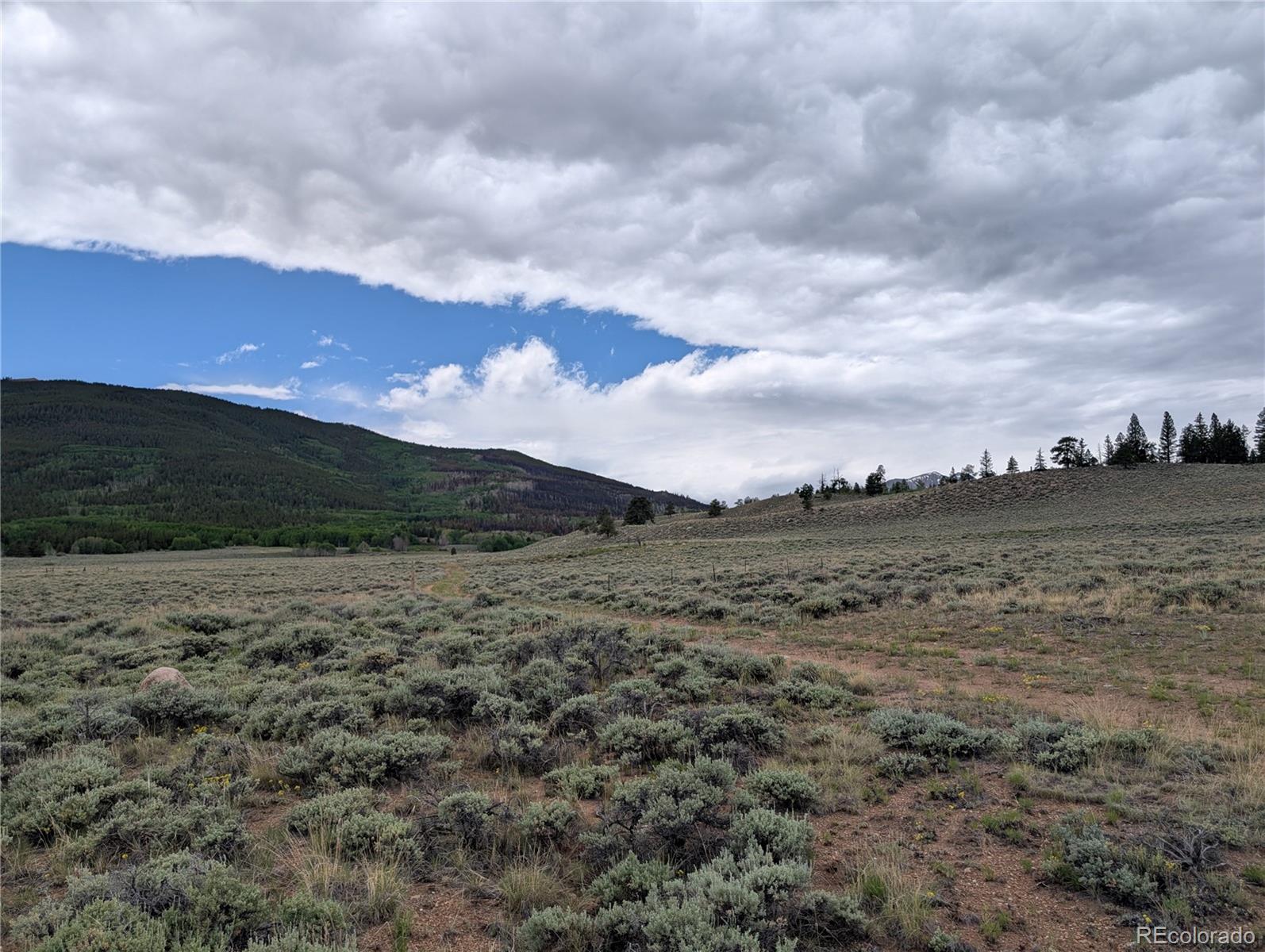 300 Norene Road Twin Lakes, CO 81251 - Photo 15 of 17 a view of a dry yard with wooden fence