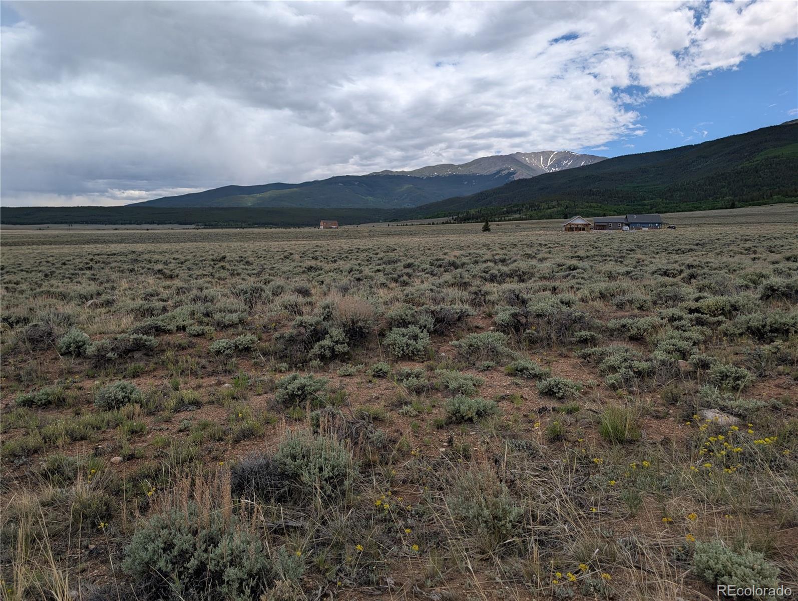 300 Norene Road Twin Lakes, CO 81251 - Photo 5 of 17 a view of a open area with green space