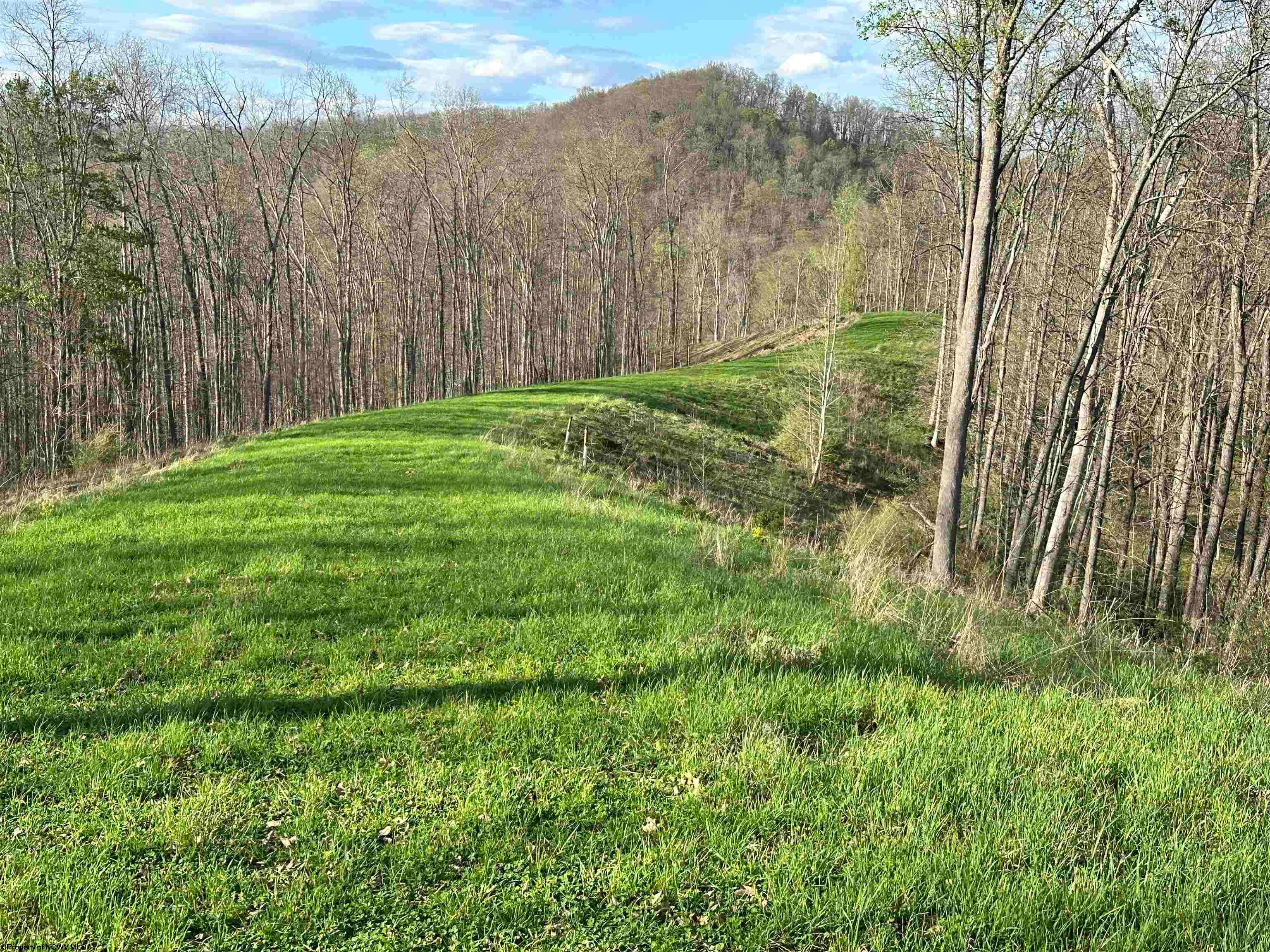 5601 Clover Fork Road Orlando, WV 26412 - Photo 26 of 44 Gallery Image 26