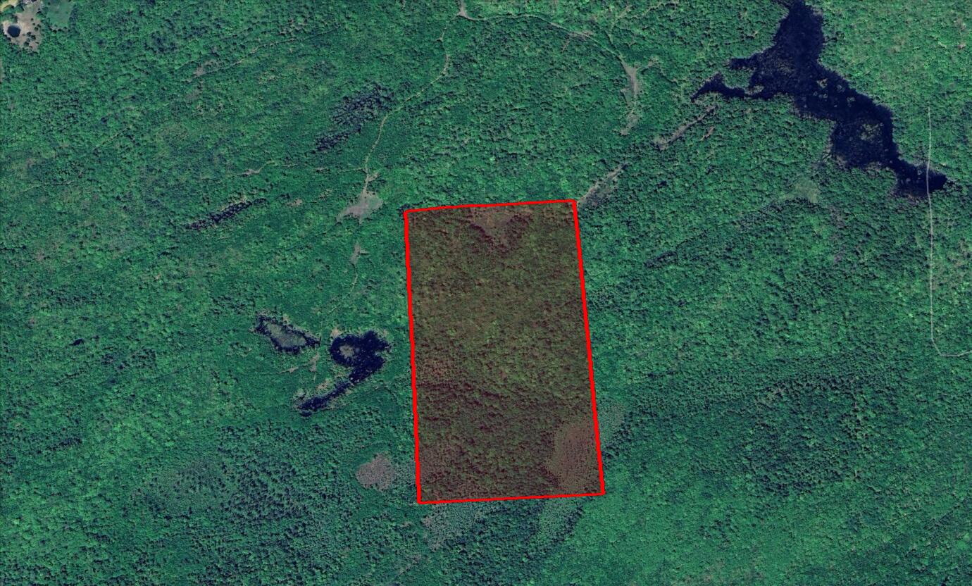 0 Landlocked Liberty, ME 04949 - Photo 6 of 6