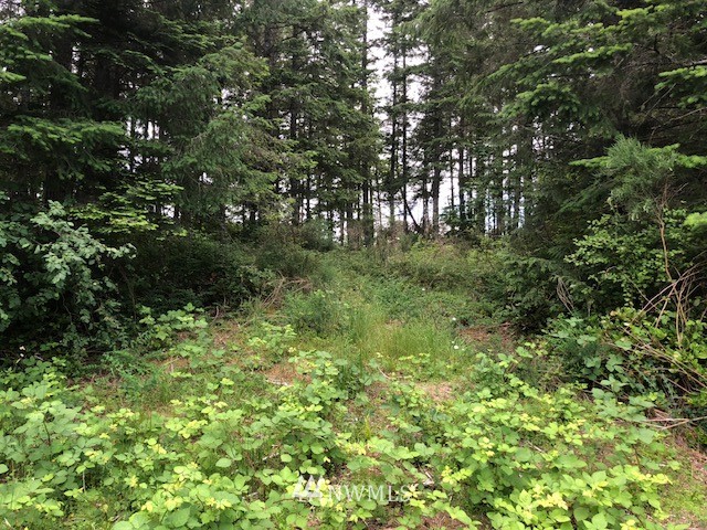 482 McInnis Road Quilcene, WA 98376 - Photo 1 of 5