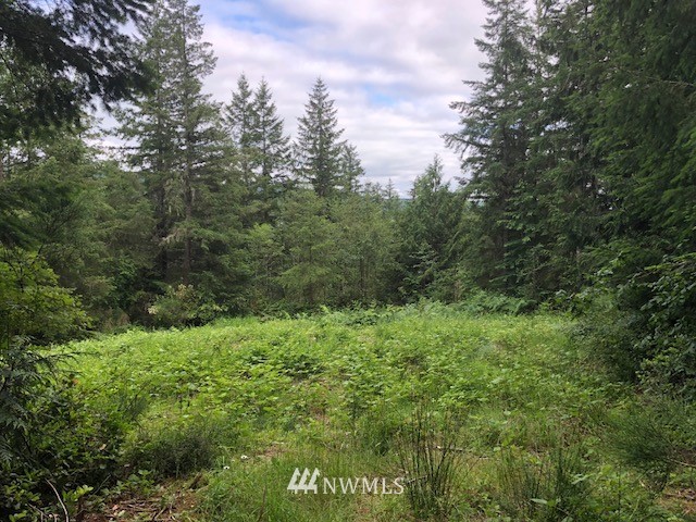 482 McInnis Road Quilcene, WA 98376 - Photo 2 of 5