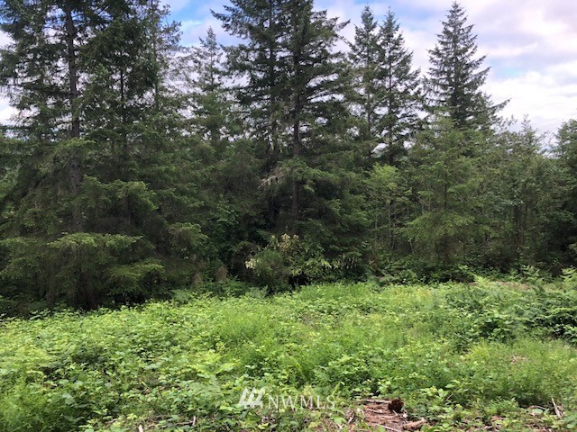 482 McInnis Road Quilcene, WA 98376 - Photo 3 of 5