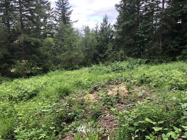 482 McInnis Road Quilcene, WA 98376 - Photo 5 of 5
