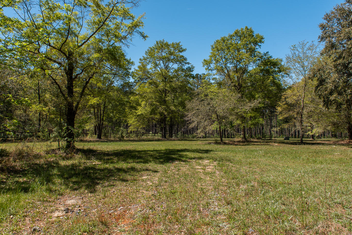 0 Durgin Place Awendaw, SC 29429 - Photo 15 of 17 DurginLot-19